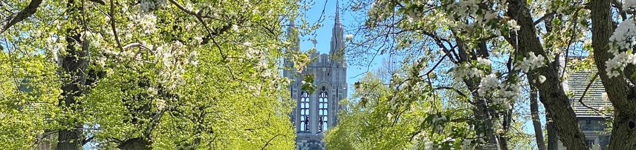 Gasson with trees