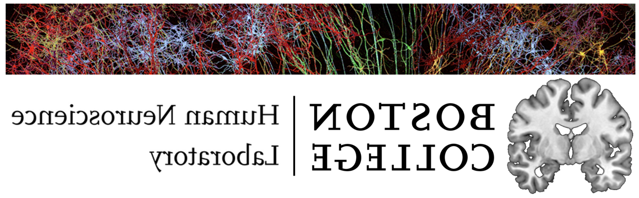 Human Neuroscience Laboratory Logo