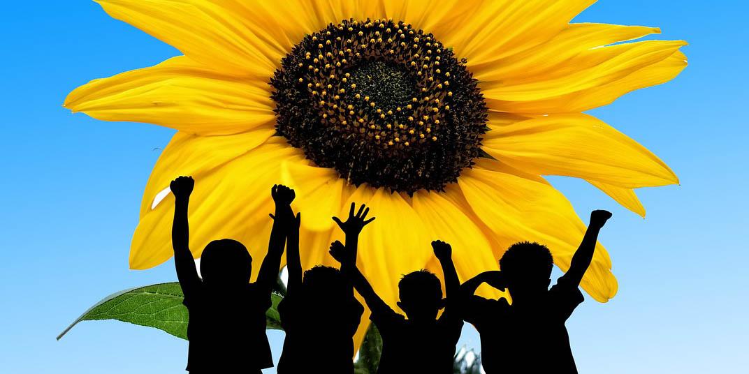Children silhouettes against sunflower