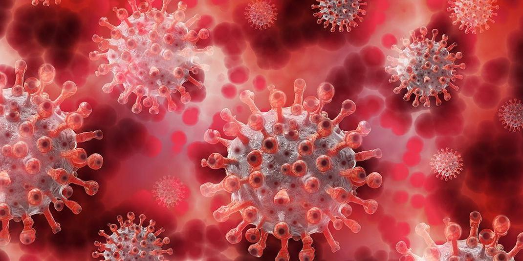 A close-up of the coronavirus